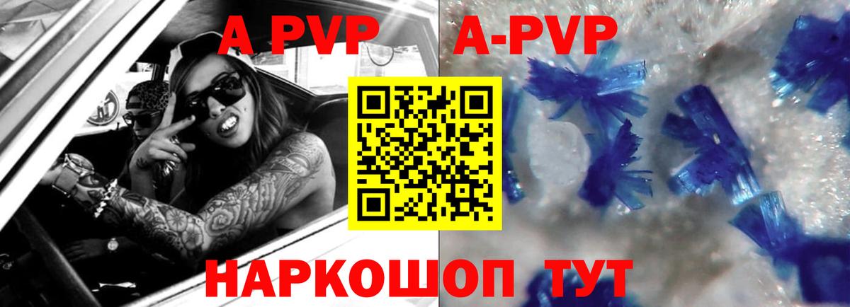 A-PVP СК Шадринск