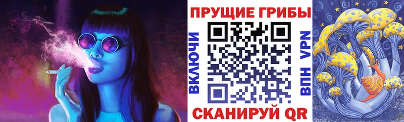 гидра рабочий сайт  даркнет наркотические препараты  Псилоцибиновые грибы мицелий  Шадринск 